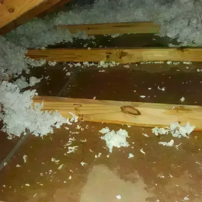 Attic Water Damage in Tonasket, WA