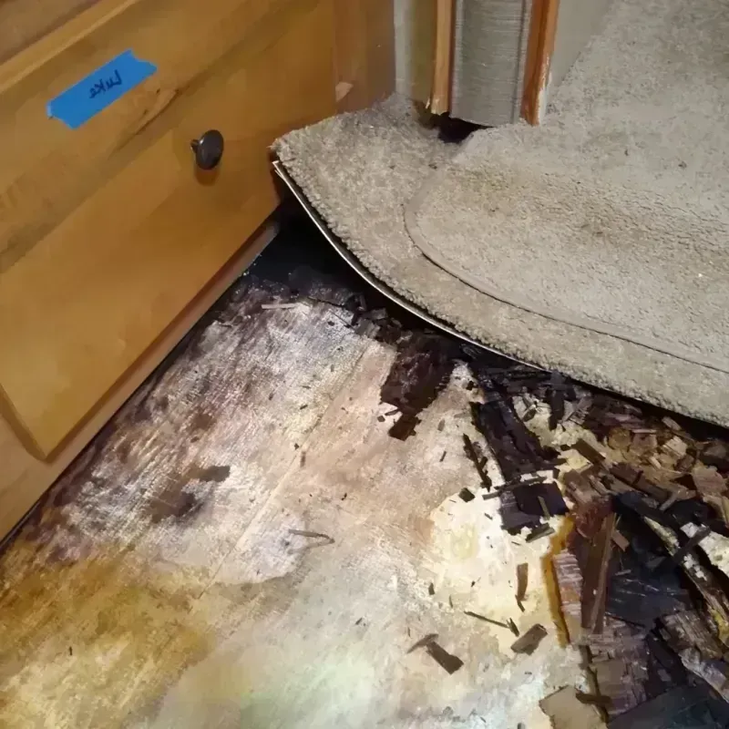 Best Wood Floor Water Damage Service in Tonasket, WA